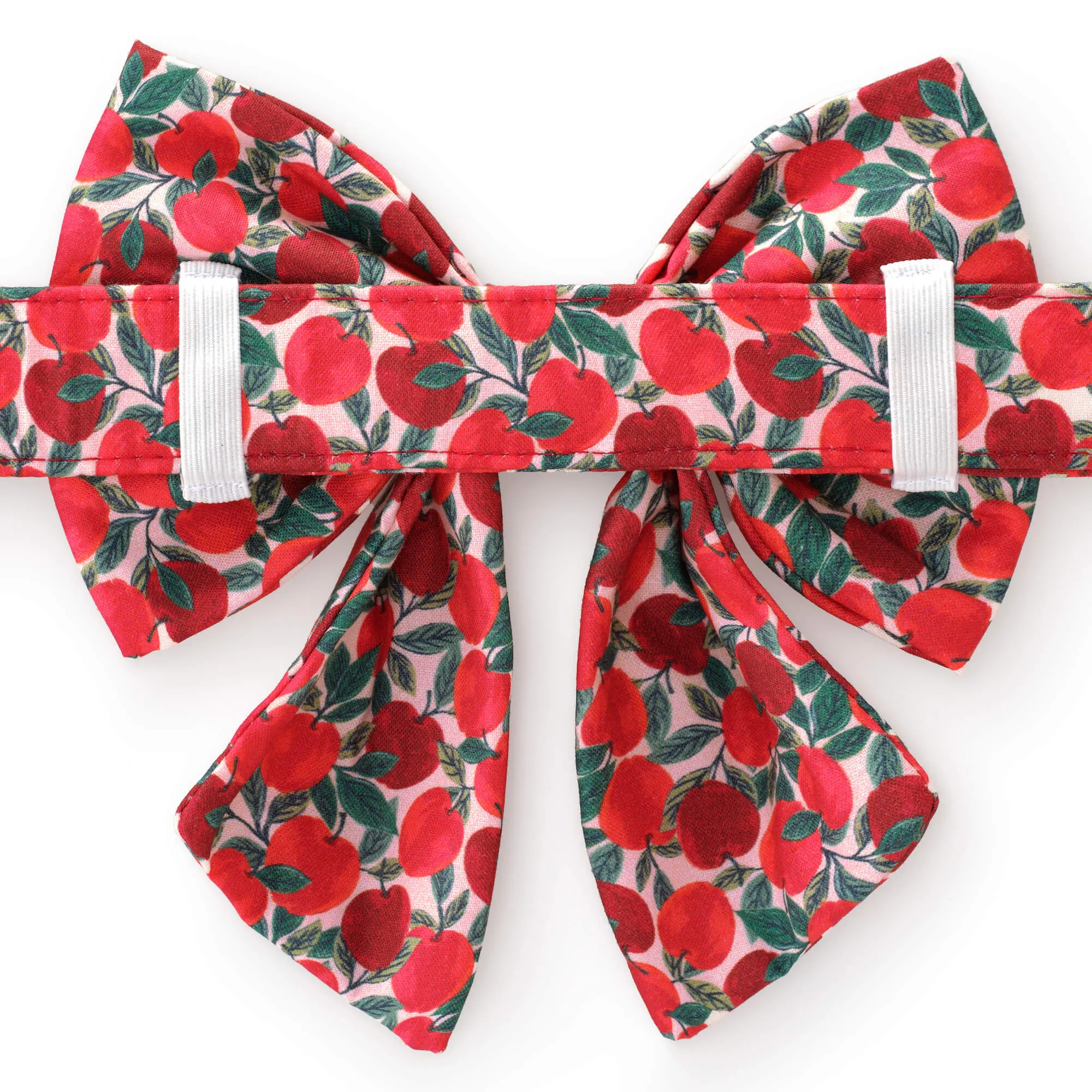 Apple of My Eye Lady Bow Collar