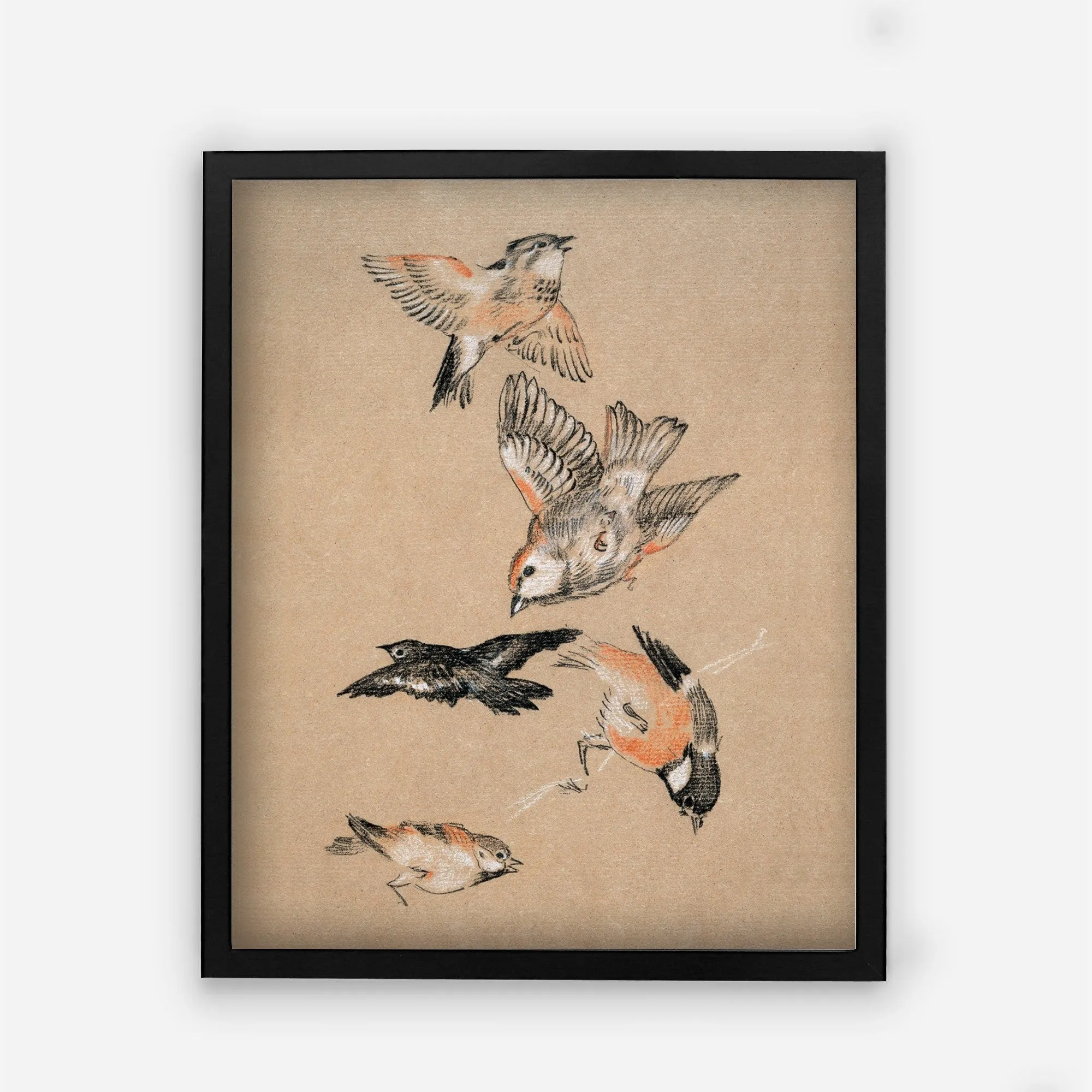 Five Birds Vintage Wall Art Print