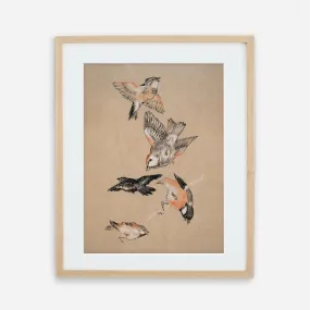 Five Birds Vintage Wall Art Print