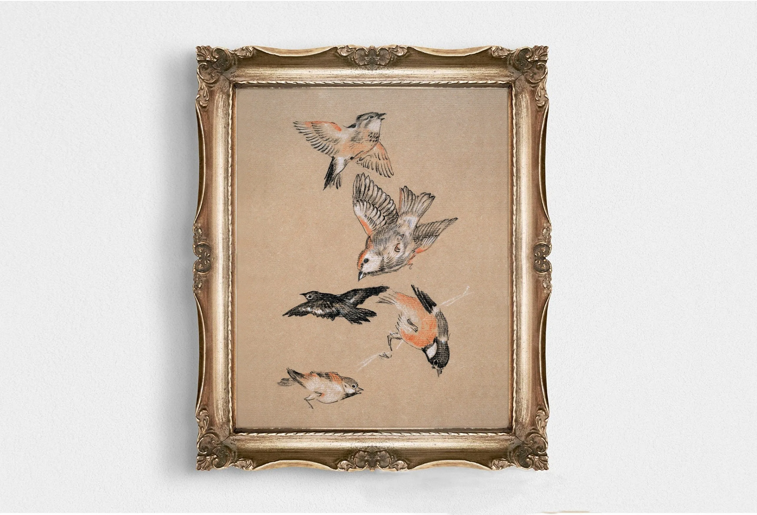 Five Birds Vintage Wall Art Print