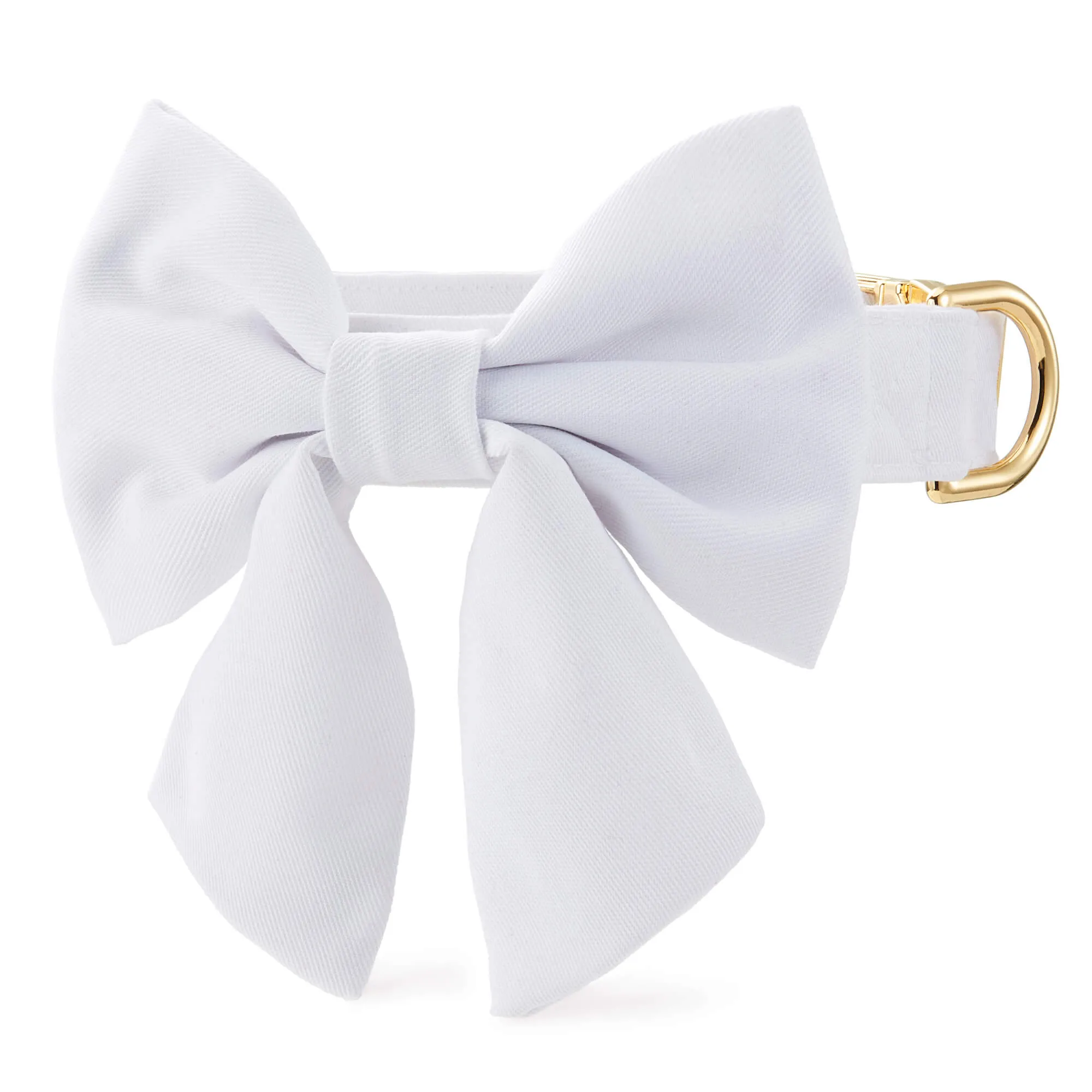 White Lady Bow Collar